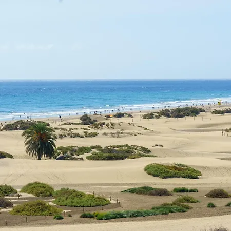 Alsol Don Palomon Playa del Inglés