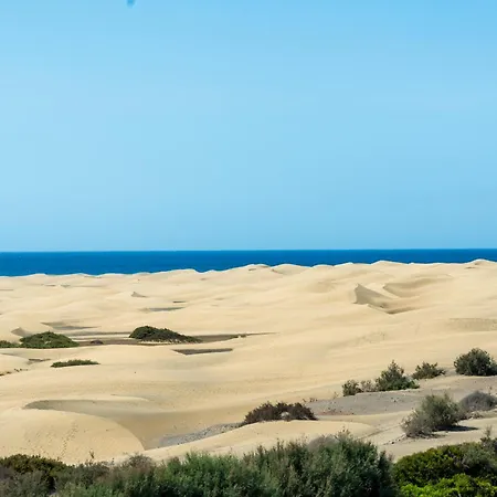 Alsol Don Palomon Apartament