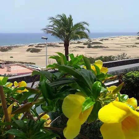 Apartment Alsol Don Palomon Playa del Ingles (Gran Canaria)