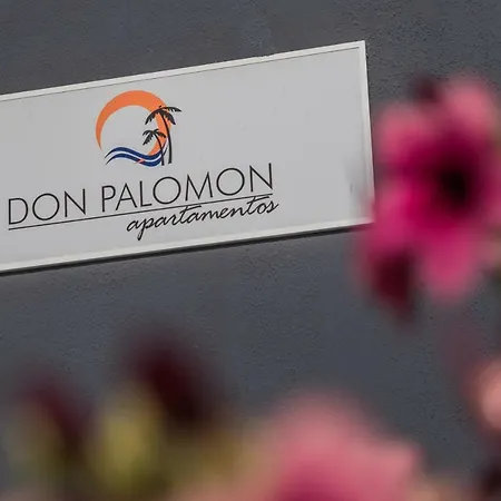 Alsol Don Palomon Apartment Playa del Ingles (Gran Canaria)