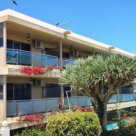 Apartamento Don Palomón *